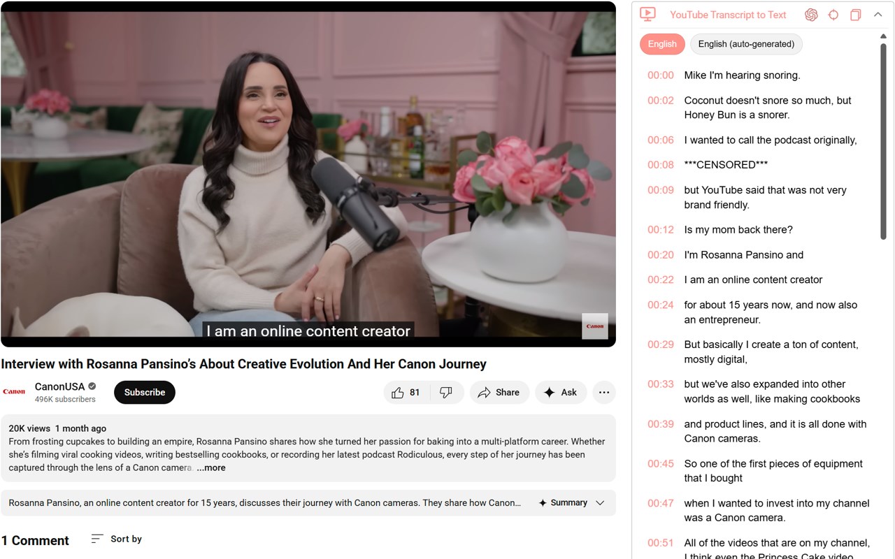 YouTube Transcript to Text