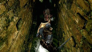 Dark Souls™ screenshot 1