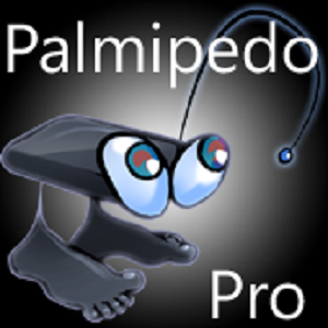 Buy Palmipedo Pro Microsoft Store En Ae