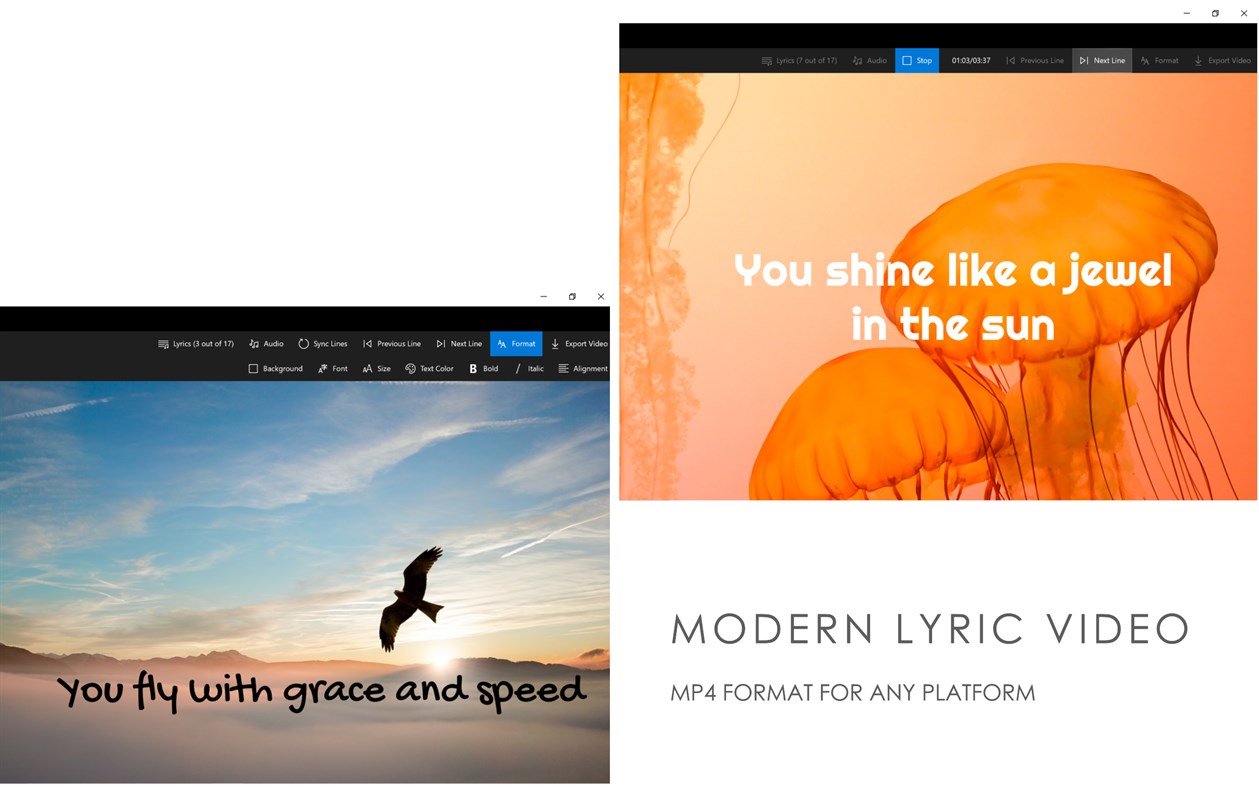 #5. Animated Text Studio - Lyric Video Maker (Windows) 由: Aidaluu Inc.