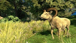 Cabela's Hunting Expeditions screenshot 6