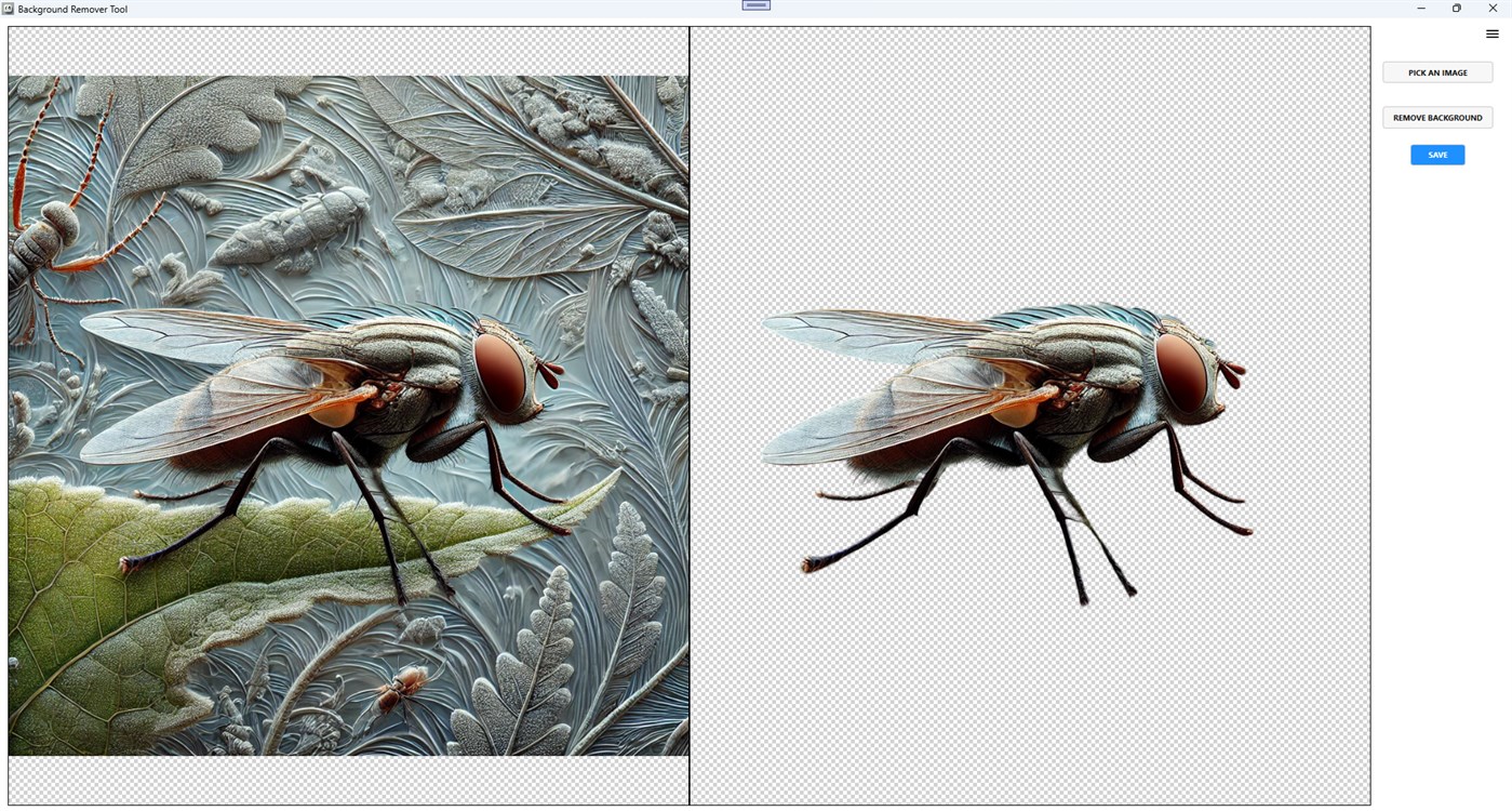 #3. Background Remover Tool (Windows) By: Megaish