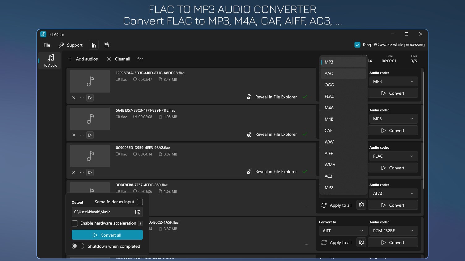 Co je FLAC MP3?