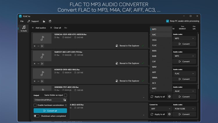 FLAC to MP3 - FLAC to WAV - PC - (Windows)