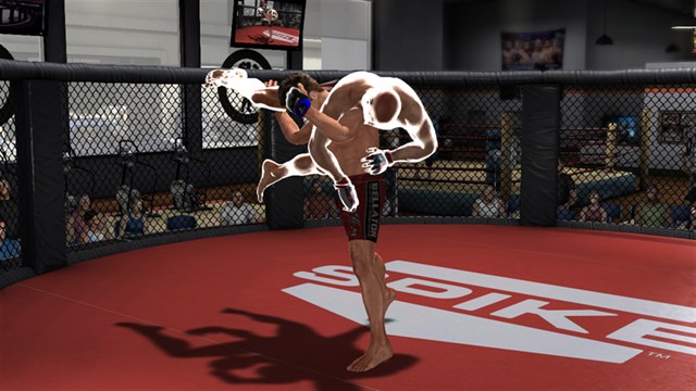 Bellator: MMA Onslaught screenshot 3