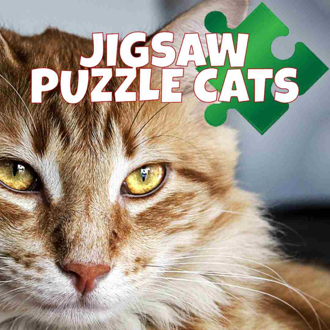 Jigsaw Puzzle Cats
