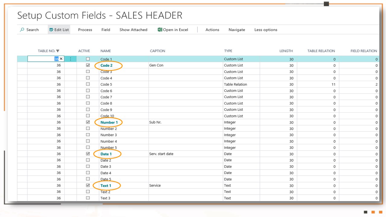 Snapshot 4 of Custom Defined Fields