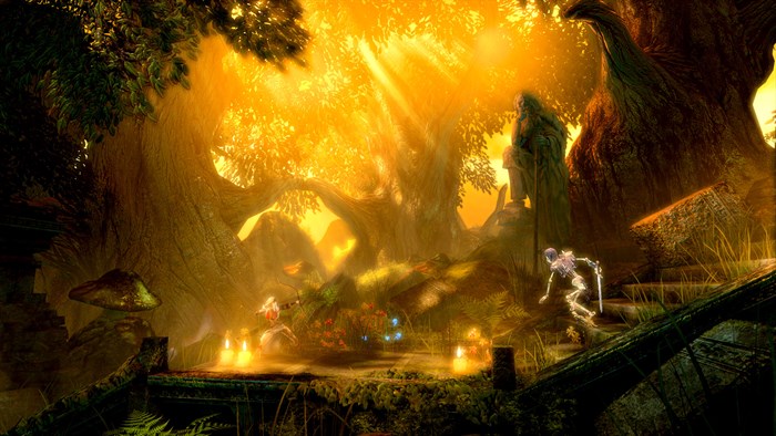 Trine Enchanted Edition — скриншот 5