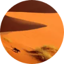 Sossusvlei Wallpaper New Tab icon