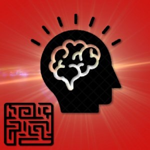 Crazy Maze Puzzle Game icon
