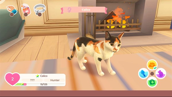 Cat Rescue Story — 2