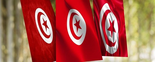 Tunisia Flag Wallpaper New Tab marquee promo image