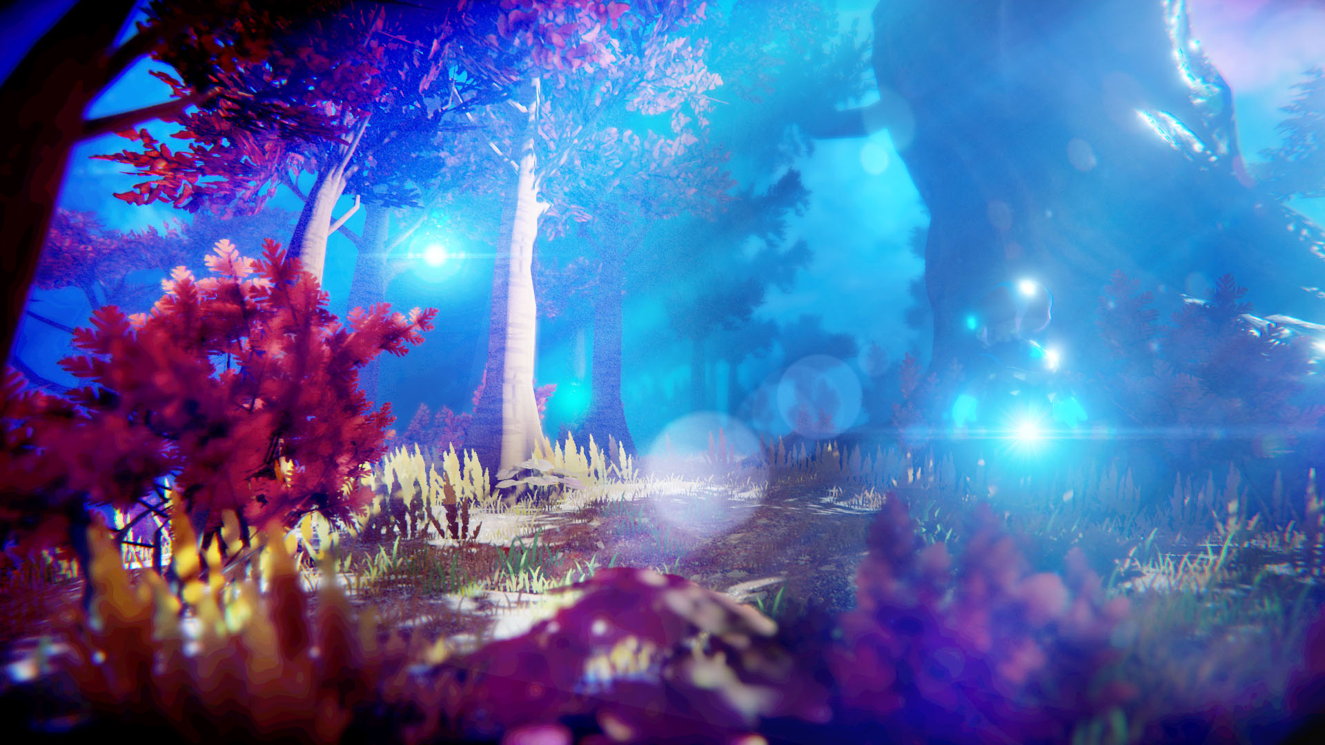 Seed of Life | Xbox | Chiave | Privato