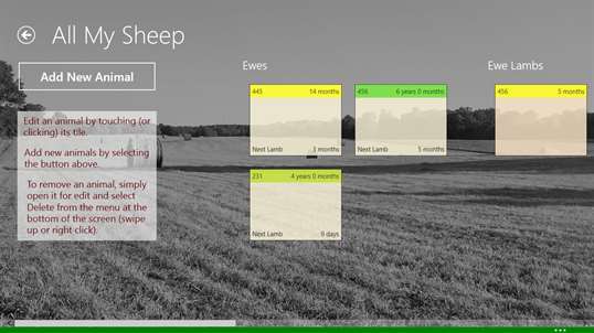 All My Sheep screenshot 5