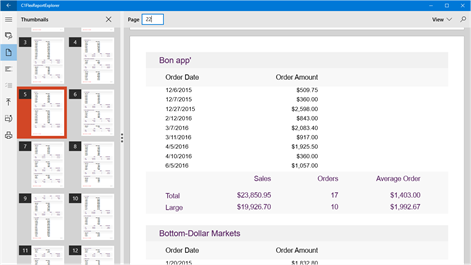 ComponentOne FlexReport Explorer Screenshots 2