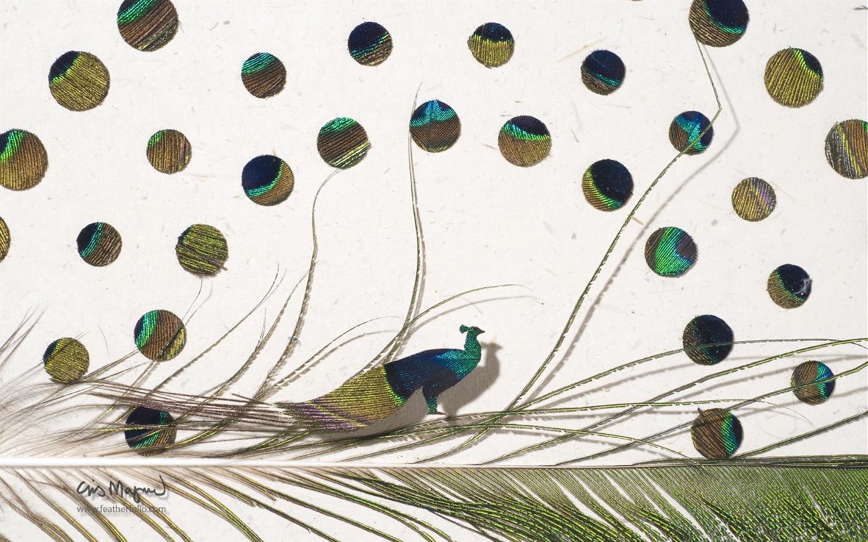 #3. Shadowboxes by Chris Maynard (Windows) Podle: Microsoft Corporation