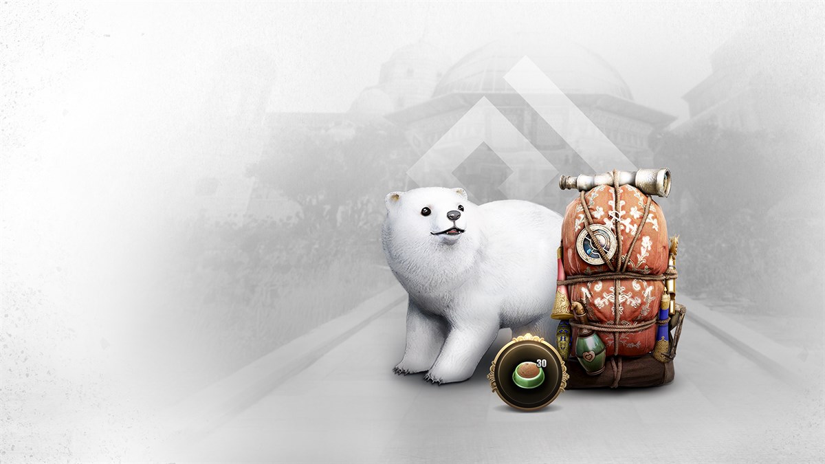 Black Desert: Набор Standard