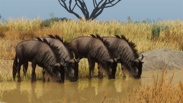 Planet Zoo: Grasslands & Africa Bundle screenshot 1
