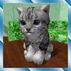 Cute Pocket Cat 3D - Part 2
