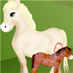 Horse Birth Games