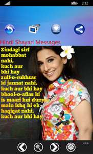 Hindi Shayari Messages screenshot 3