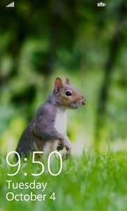 Squirrel LockScreen screenshot 1