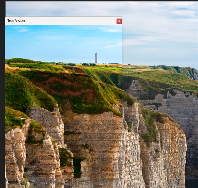 #3. True Vision (Windows) By: Zunna Berry