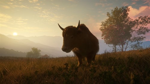 theHunter: Call of the Wild™ - Sundarpatan Nepal Hunting Reserve