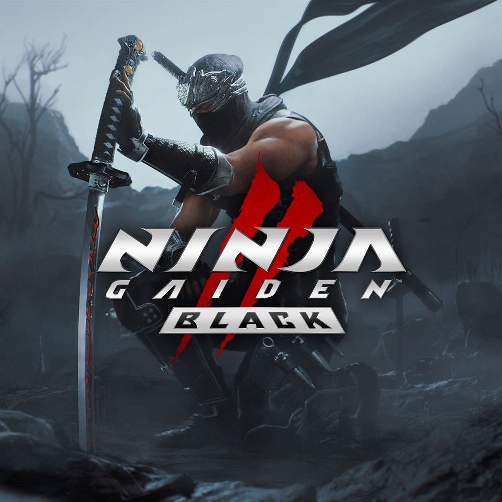 NINJA GAIDEN 2 Black cover art (full size)