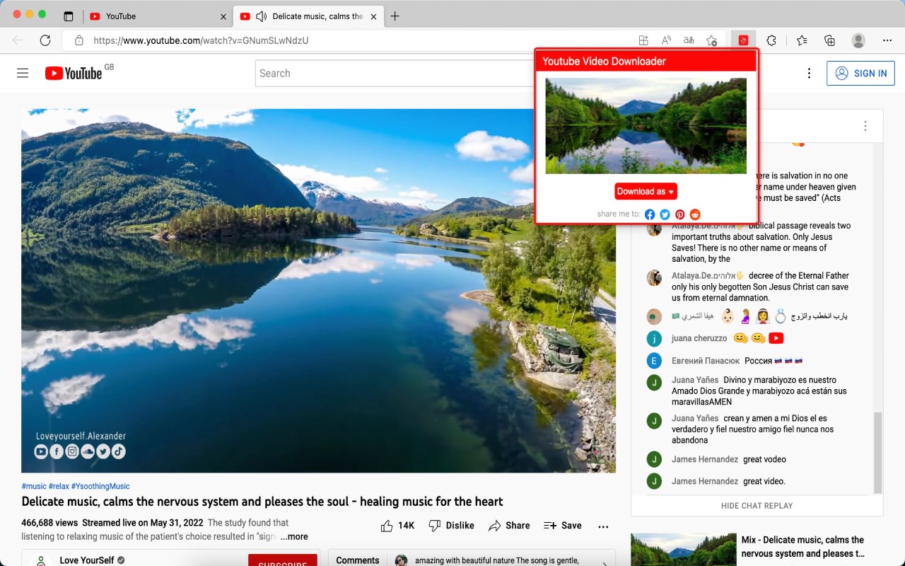 Youtube video downloader - YouSaver
