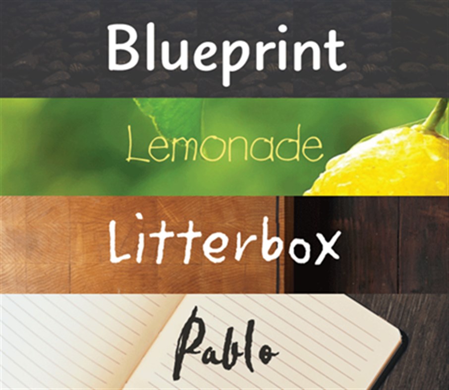 #5. Monotype Handwriting Font Pack (Windows) 由: Monotype, Inc.