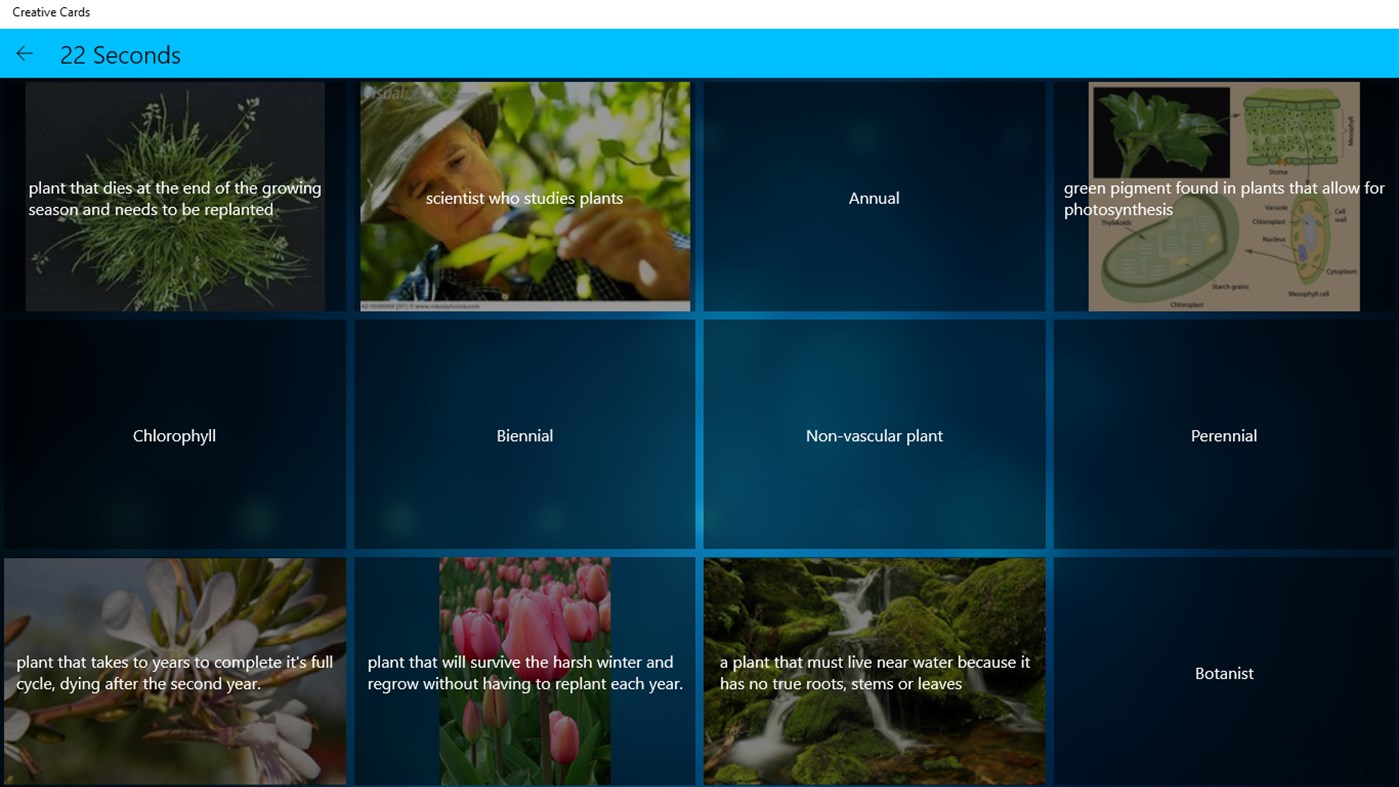 #3. Creative Cards (Windows) 由: MvsLogic