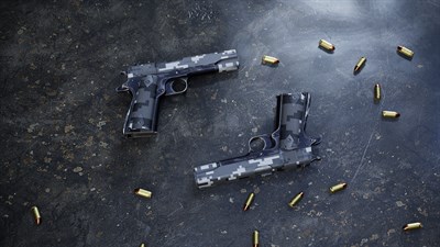 Insurgency: Sandstorm - Urban Digital Weapon Skin Set — скриншот 3