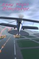 Easy Flight Simulator