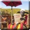 Shaun the Sheep Memory