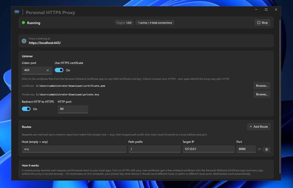 Personal HTTPS Proxy (Windows) Geliştirici: Psalmsoft Solutions