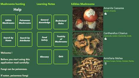 Mushrooms hunting Screenshots 1