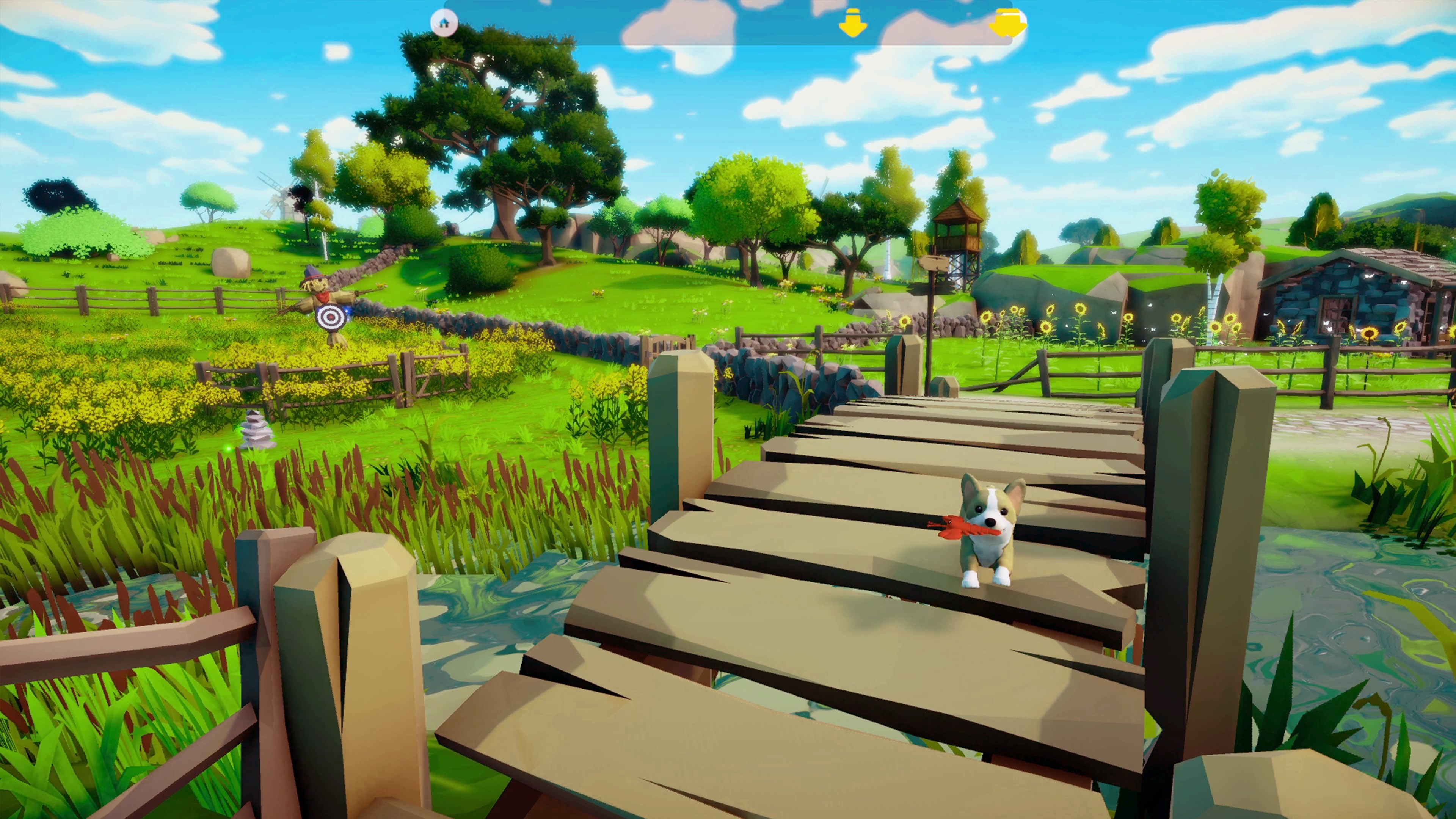 戶外公園散步與玩耍