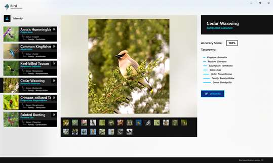 Bird Identification screenshot 4