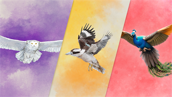 European + Oceania + Asia