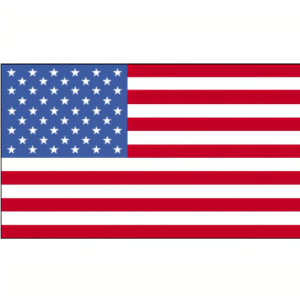 The United States Constitution icon