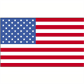 The United States Constitution