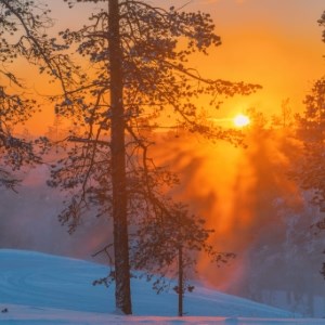 Frosty Lapland Morning