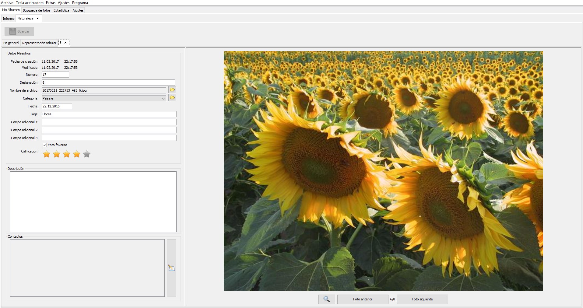 Amapolas amarillas o rojas, Flandes ha.1430 | La Rama de Oro, image size:1915x1012