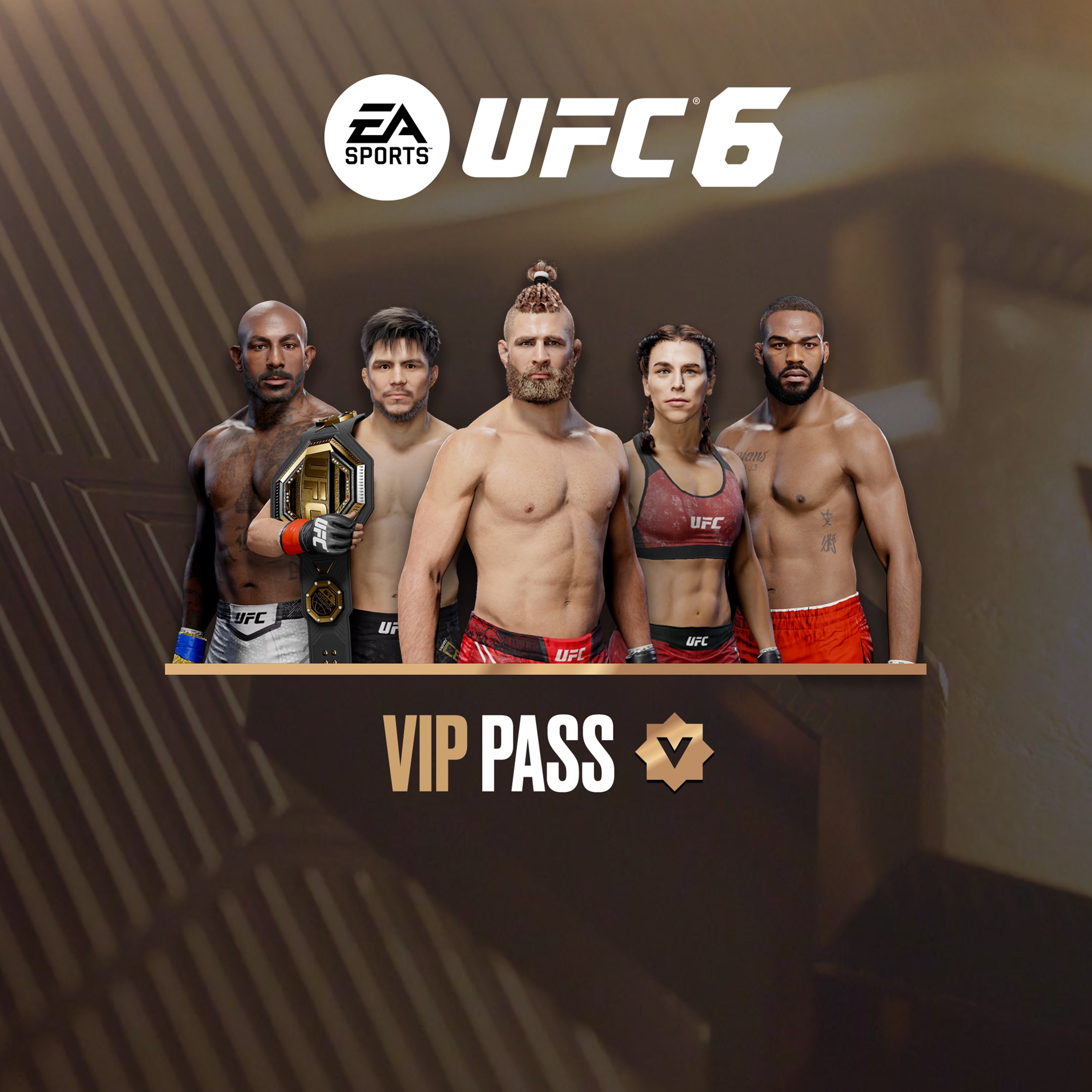 UFC™ 6 — VIP-пропуск