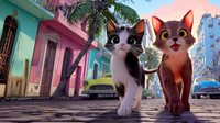 Little Strays - Havana