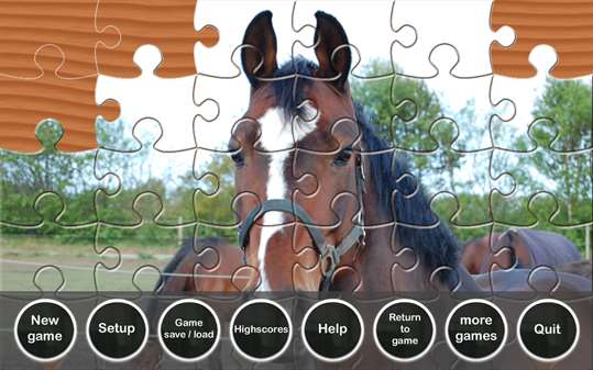 Puzzle Horses screenshot 1