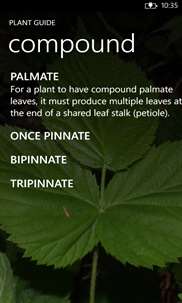 Plant Guide screenshot 8