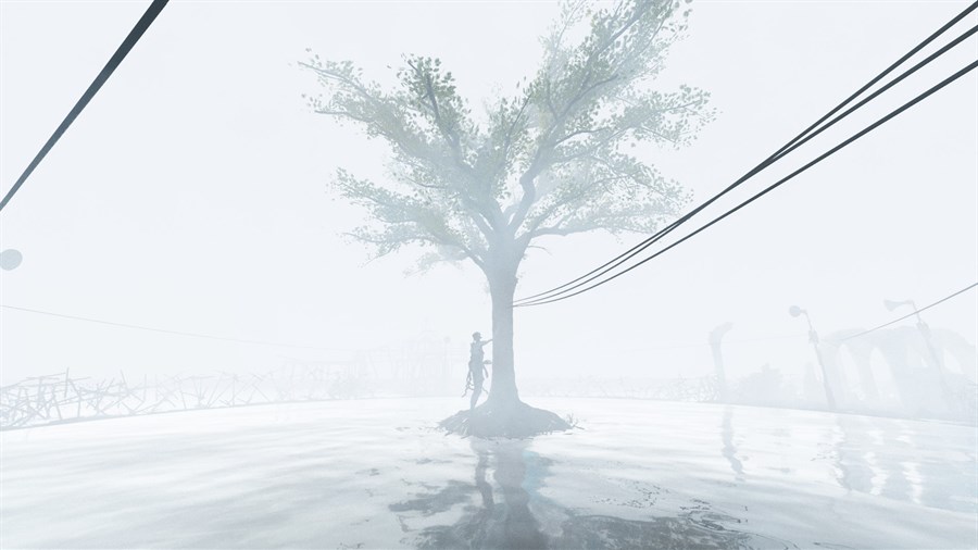 Full Size Image