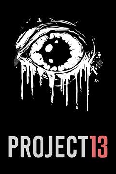 Cover poster for PROJECT 13